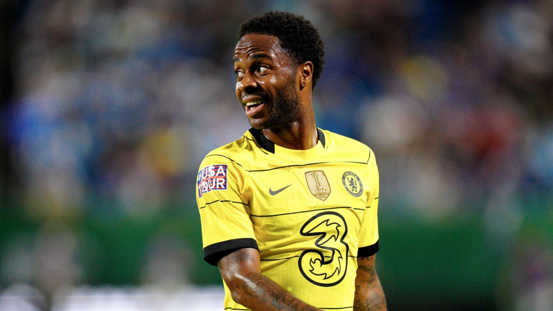 青岛本身作 青岛本身作